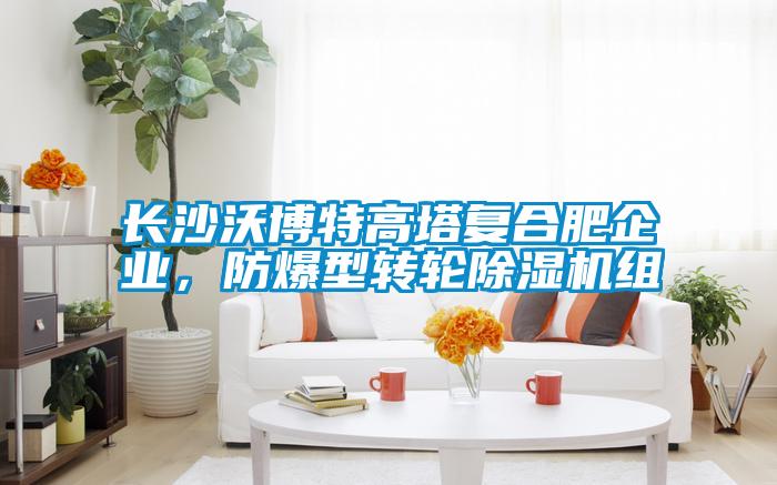 長沙沃博特高塔復合肥企業(yè)，防爆型轉(zhuǎn)輪除濕機組