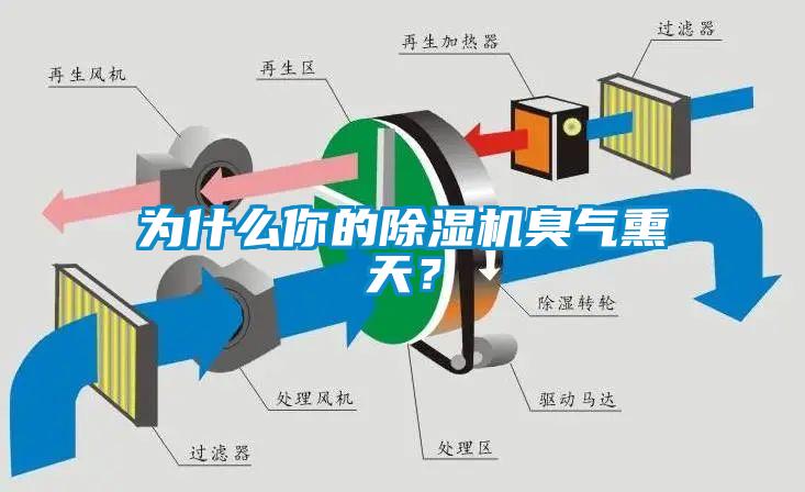 為什么你的除濕機(jī)臭氣熏天？