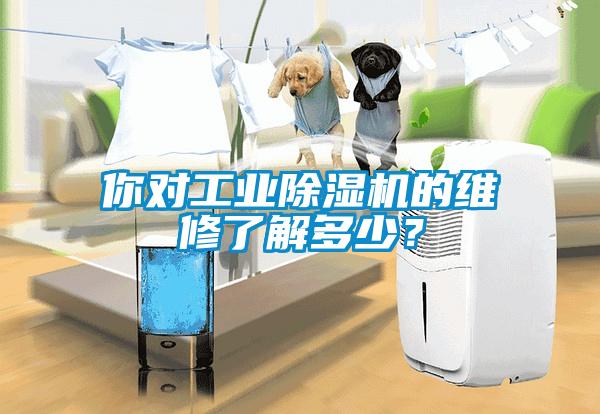 你對(duì)工業(yè)除濕機(jī)的維修了解多少？