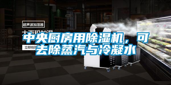 中央廚房用除濕機(jī)，可去除蒸汽與冷凝水