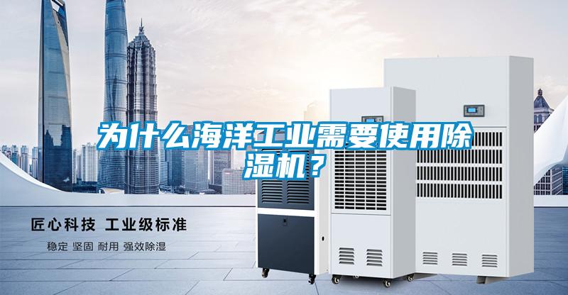 為什么海洋工業(yè)需要使用除濕機？