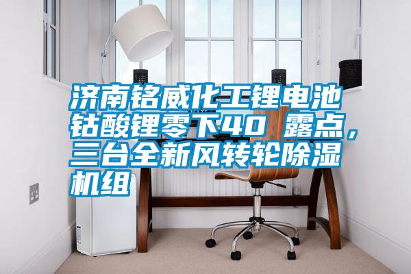 濟(jì)南銘威化工鋰電池鈷酸鋰零下40℃露點(diǎn)，三臺(tái)全新風(fēng)轉(zhuǎn)輪除濕機(jī)組