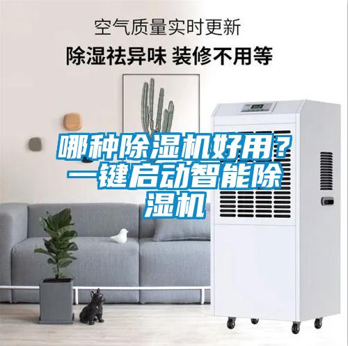 哪種除濕機好用？一鍵啟動智能除濕機