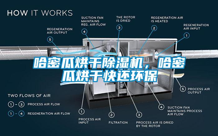 哈密瓜烘干除濕機(jī)，哈密瓜烘干快還環(huán)保