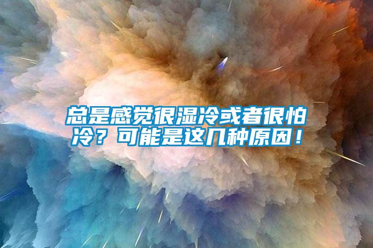 總是感覺很濕冷或者很怕冷？可能是這幾種原因！