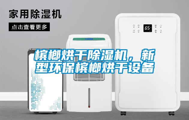 檳榔烘干除濕機，新型環(huán)保檳榔烘干設(shè)備