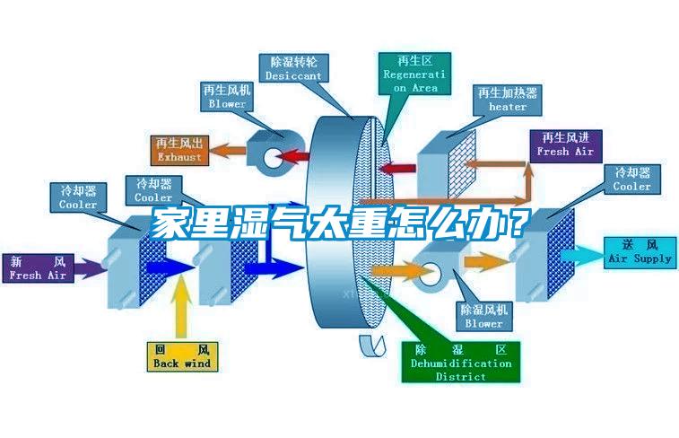 家里濕氣太重怎么辦？