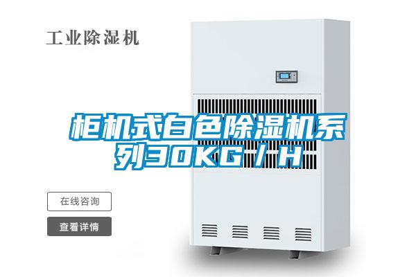 柜機式白色除濕機系列30KG／H