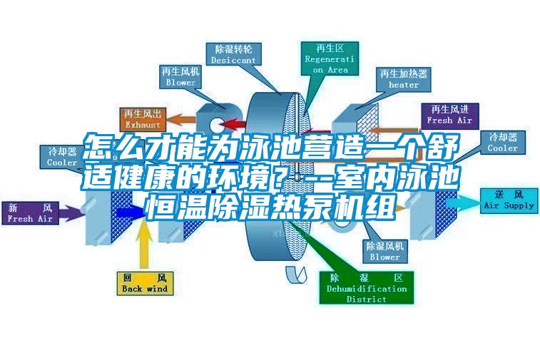 怎么才能為泳池營造一個(gè)舒適健康的環(huán)境？--室內(nèi)泳池恒溫除濕熱泵機(jī)組