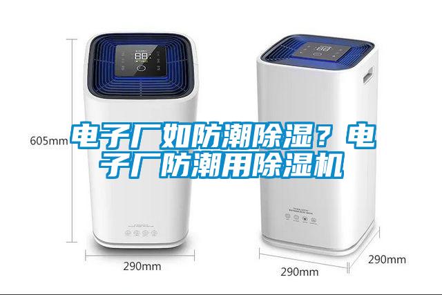 電子廠如防潮除濕？電子廠防潮用除濕機(jī)