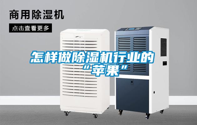 怎樣做除濕機(jī)行業(yè)的“蘋果”