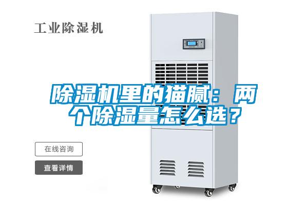 除濕機里的貓膩：兩個除濕量怎么選？