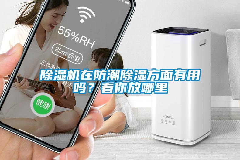 除濕機在防潮除濕方面有用嗎？看你放哪里