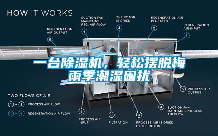 一臺除濕機，輕松擺脫梅雨季潮濕困擾