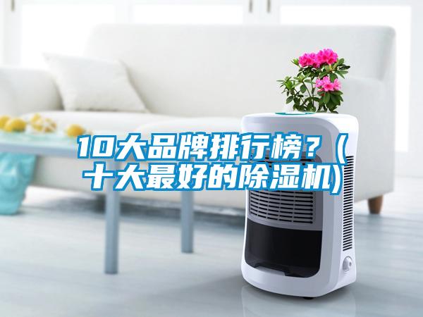 10大品牌排行榜？(十大最好的除濕機(jī))