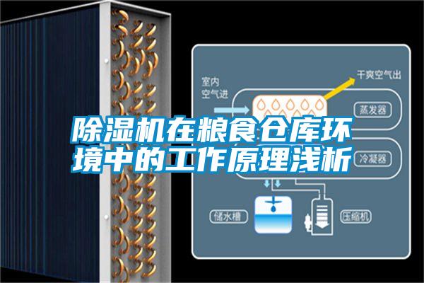除濕機(jī)在糧食倉(cāng)庫(kù)環(huán)境中的工作原理淺析