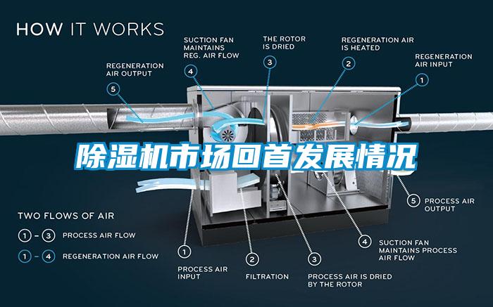 除濕機(jī)市場(chǎng)回首發(fā)展情況