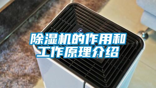 除濕機的作用和工作原理介紹