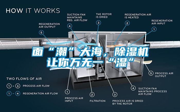 面“潮”大海，除濕機(jī)讓你萬無一“濕”