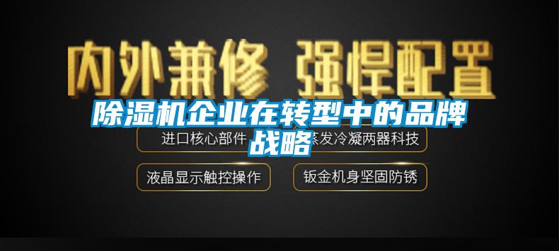 除濕機企業(yè)在轉(zhuǎn)型中的品牌戰(zhàn)略