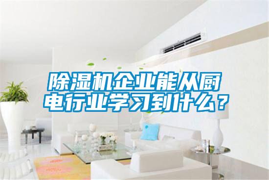 除濕機企業(yè)能從廚電行業(yè)學(xué)習(xí)到什么？