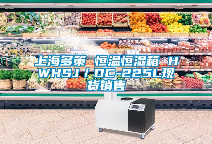 上海多策 恒溫恒濕箱 HWHSJ／DC-225L現(xiàn)貨銷售