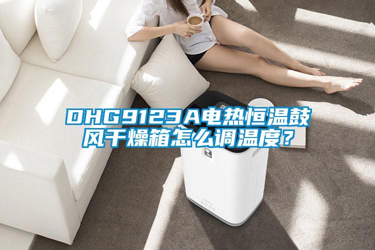 DHG9123A電熱恒溫鼓風(fēng)干燥箱怎么調(diào)溫度？