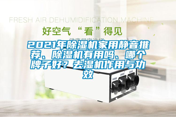 2021年除濕機家用靜音推薦、除濕機有用嗎、哪個牌子好？去濕機作用與功效