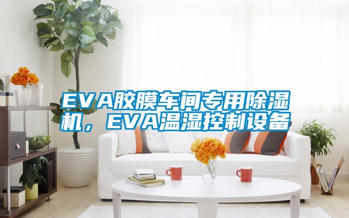 EVA膠膜車間專用除濕機(jī)，EVA溫濕控制設(shè)備