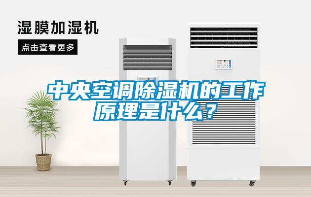 中央空調(diào)除濕機的工作原理是什么？