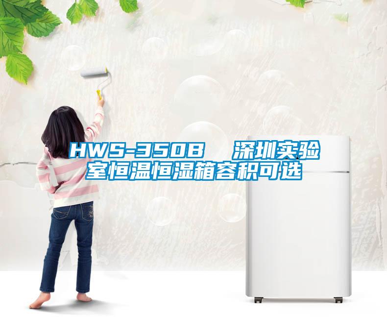 HWS-350B  深圳實驗室恒溫恒濕箱容積可選