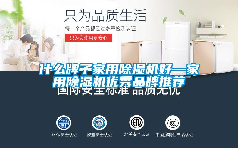 什么牌子家用除濕機(jī)好—家用除濕機(jī)優(yōu)秀品牌推薦