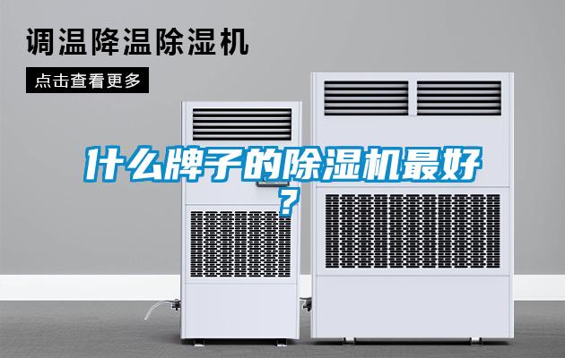 什么牌子的除濕機最好？