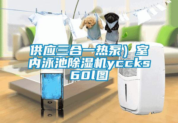 供應(yīng)三合一熱泵）室內(nèi)泳池除濕機yccks60l圖