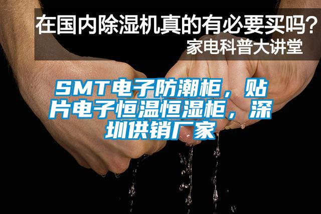 SMT電子防潮柜，貼片電子恒溫恒濕柜，深圳供銷廠家