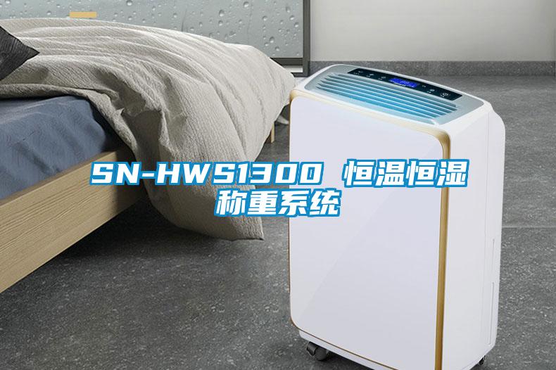 SN-HWS1300 恒溫恒濕稱重系統(tǒng)