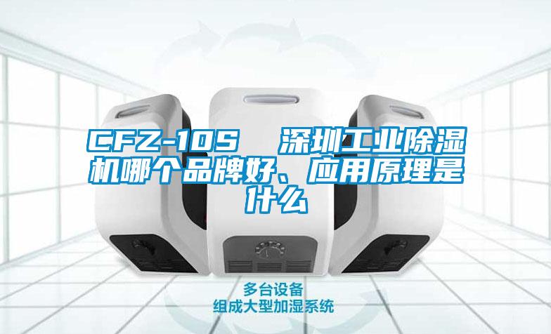 CFZ-10S  深圳工業(yè)除濕機(jī)哪個品牌好、應(yīng)用原理是什么