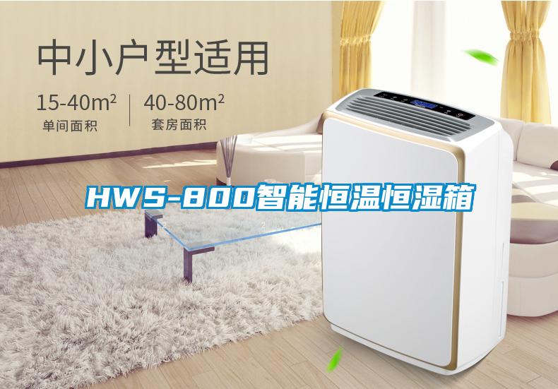 HWS-800智能恒溫恒濕箱