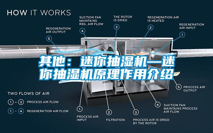 其他：迷你抽濕機—迷你抽濕機原理作用介紹