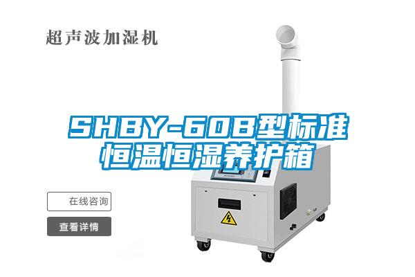 SHBY-60B型標準恒溫恒濕養(yǎng)護箱