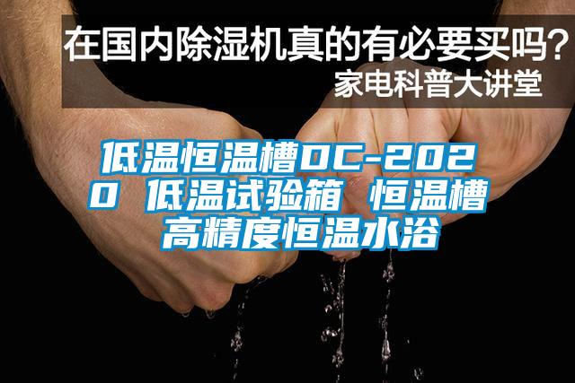 低溫恒溫槽DC-2020 低溫試驗箱 恒溫槽 高精度恒溫水浴