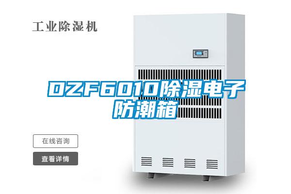 DZF6010除濕電子防潮箱