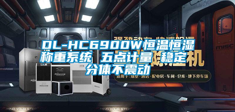 DL-HC6900W恒溫恒濕稱重系統(tǒng) 五點計量 穩(wěn)定 分體不震動