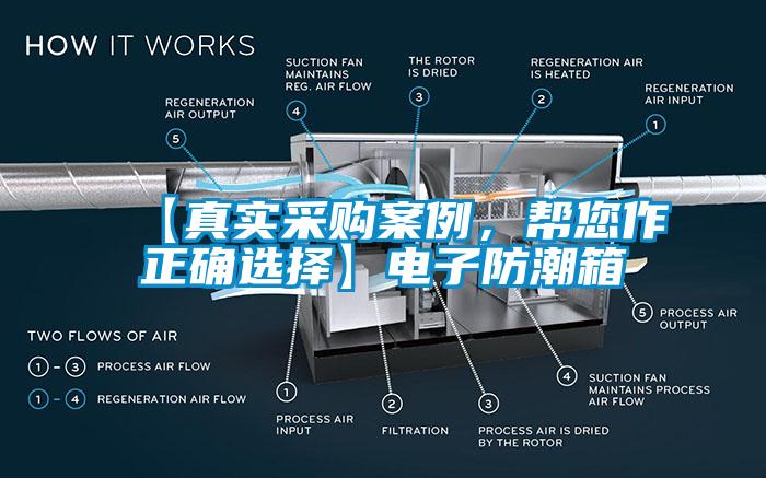 【真實(shí)采購案例，幫您作正確選擇】電子防潮箱