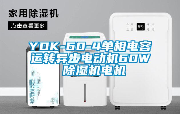 YDK-60-4單相電容運(yùn)轉(zhuǎn)異步電動(dòng)機(jī)60W 除濕機(jī)電機(jī)