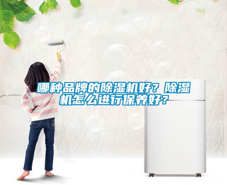 哪種品牌的除濕機好？除濕機怎么進行保養(yǎng)好？