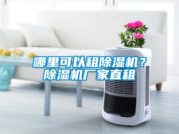 哪里可以租除濕機？除濕機廠家直租