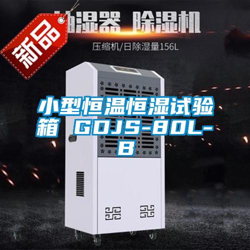 小型恒溫恒濕試驗箱 GDJS-80L-B