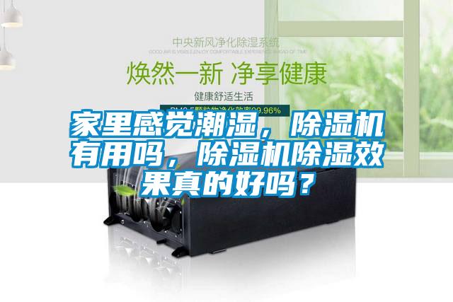 家里感覺潮濕，除濕機有用嗎，除濕機除濕效果真的好嗎？