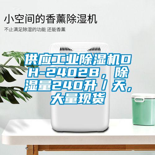 供應(yīng)工業(yè)除濕機(jī)DH-2402B，除濕量240升／天，大量現(xiàn)貨